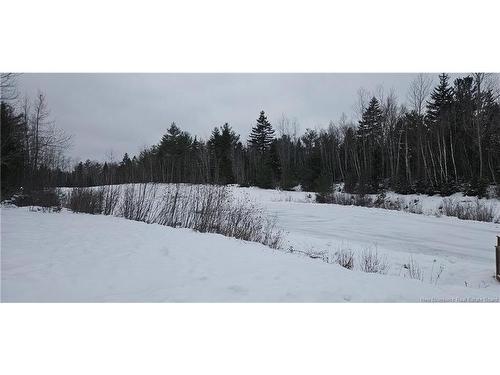 29 Laurelwood Dr, Lower Coverdale, NB 