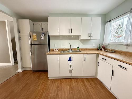 340 Francis Street E, Thunder Bay, ON - Indoor Photo Showing Kitchen With Double Sink