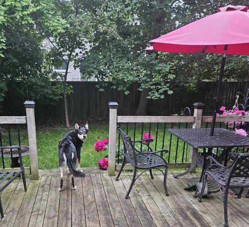 527 Carmello Court, Pickering, ON - Outdoor With Deck Patio Veranda