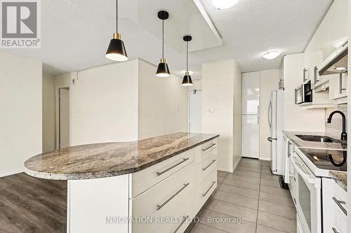 1107 - 1785 Frobisher Drive, Ottawa, ON - Indoor Photo Showing Kitchen With Upgraded Kitchen