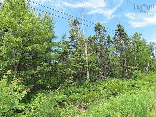 7 Lot Subdiv Hwy 320, Lennox Passage, NS 