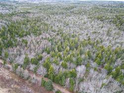 Lot Highway 101  St. Alphonse, NS B0W 2J0