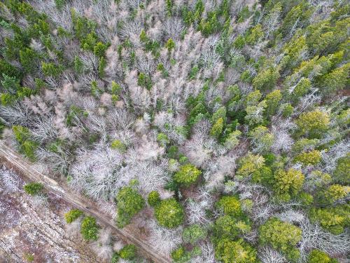 Lot Highway 101, St. Alphonse, NS 