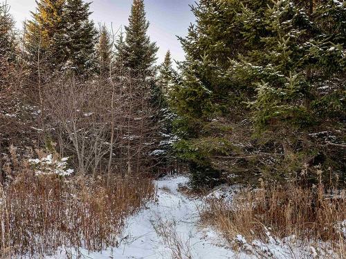 1682 Sonora Road, Sherbrooke, NS 