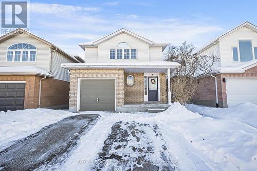 53 Bush Clover Crescent, Kitchener, ON 