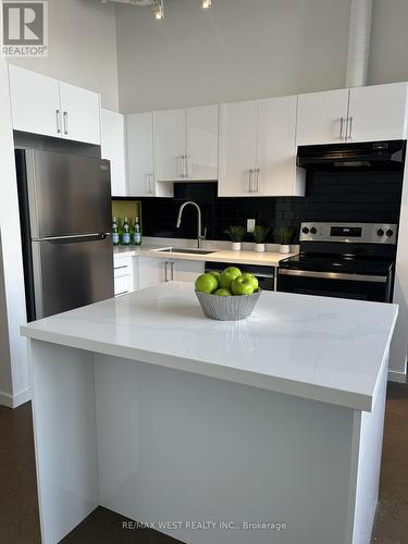 207 - 410 King Street W, Kitchener, ON - Indoor Photo Showing Kitchen