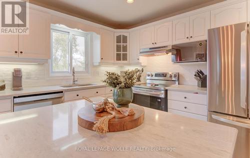 396 Otterbein Road, Kitchener, ON - Indoor Photo Showing Kitchen With Stainless Steel Kitchen