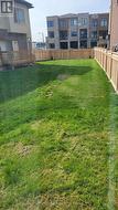 Backyard (recently fenced) - 