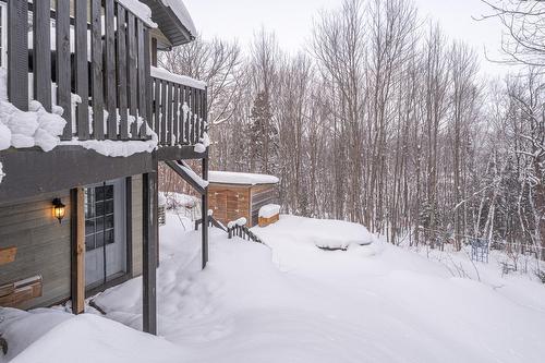 Entrée extérieure - 1393 Rue Des Tulipes, Sainte-Agathe-Des-Monts, QC - Outdoor