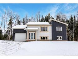 38 Miller AVE  Salisbury, NB E4J 2N1