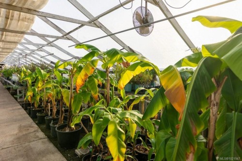 2012 Anderton Rd, Comox, BC 