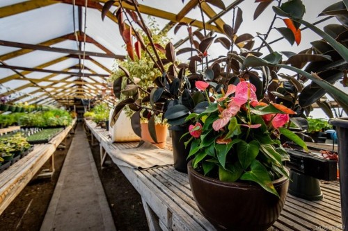 2012 Anderton Rd, Comox, BC 