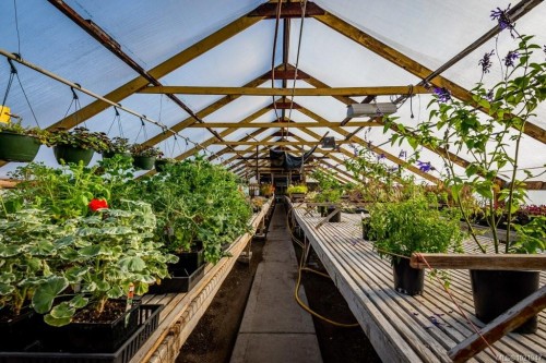 2012 Anderton Rd, Comox, BC 