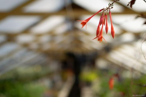 2012 Anderton Rd, Comox, BC 