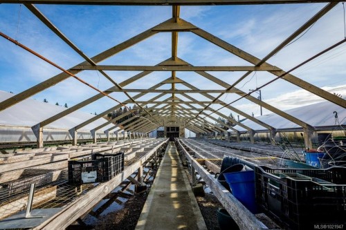 2012 Anderton Rd, Comox, BC 