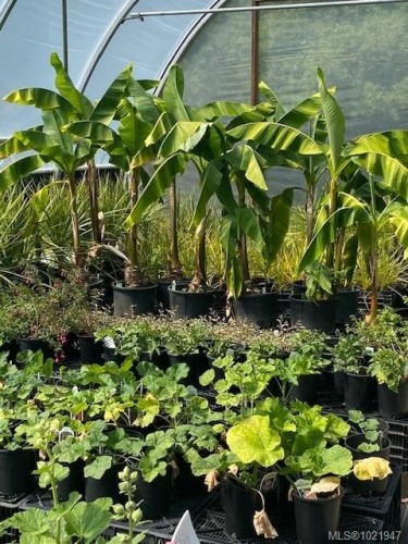 2012 Anderton Rd, Comox, BC 