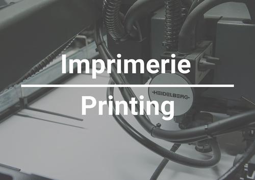 Commerce - 11905  - 11915 Av. Bellevois, Montréal (Montréal-Nord), QC - Other