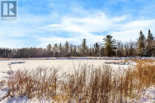 12036 County Rd 27, Springwater, ON - Outdoor With View
