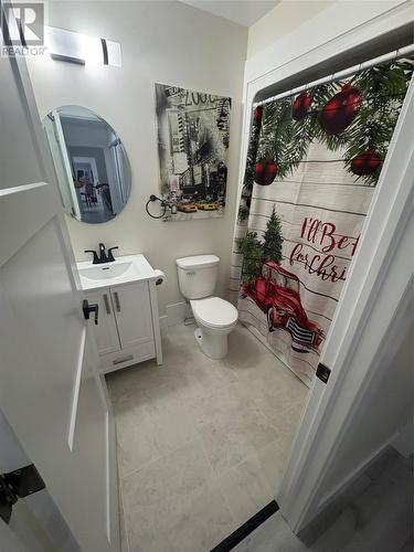 6 Mcdonald Crescent, Bishop'S Falls, NL - Indoor Photo Showing Bathroom