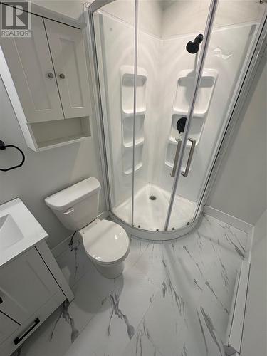 6 Mcdonald Crescent, Bishop'S Falls, NL - Indoor Photo Showing Bathroom