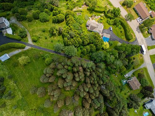 Aerial photo - 10 Rue Des Cèdres, La Malbaie, QC - Outdoor With View
