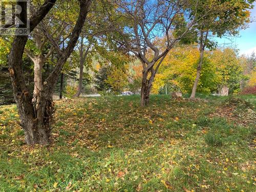 129 Roaches Line Road, Roaches Line, NL - Outdoor