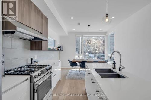 103 Armstrong Street, Ottawa, ON - Indoor Photo Showing Kitchen With Double Sink With Upgraded Kitchen