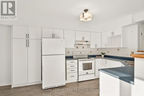 1431 Lynx Crescent, Ottawa, ON - Indoor Photo Showing Kitchen With Double Sink