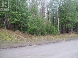 PTLT 37 TRENT VIEW DRIVE Trent Hills, ON K0L 1Y0