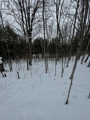 Ptlt 37 Trent View Drive, Trent Hills, ON 