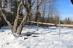 494 TWIN SISTER LAKES ROAD  Marmora And Lake (Marmora Ward), ON K0K 2M0