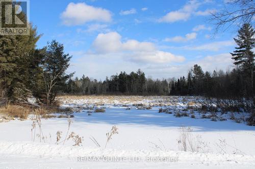 494 Twin Sister Lakes Road, Marmora And Lake (Marmora Ward), ON 