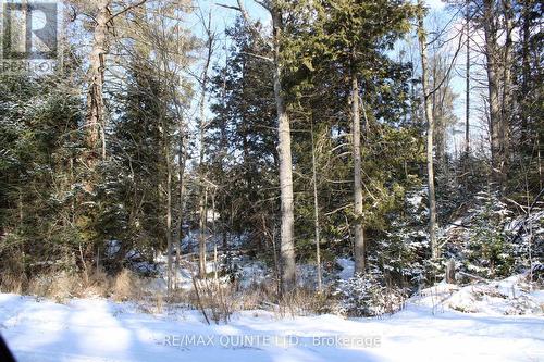 494 Twin Sister Lakes Road, Marmora And Lake (Marmora Ward), ON 