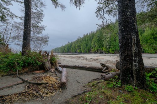 230 Clutus Rd, Bamfield, BC 