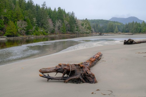 230 Clutus Rd, Bamfield, BC 