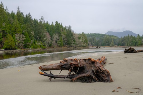 230 Clutus Rd, Bamfield, BC 