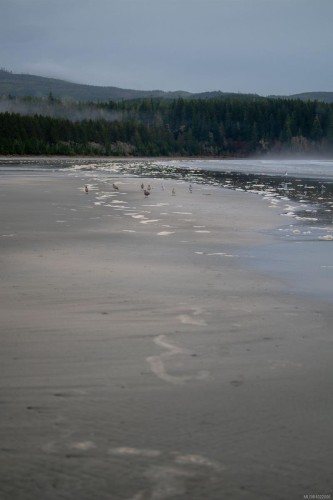 230 Clutus Rd, Bamfield, BC 