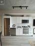 1003 - 458 Richmond Street W, Toronto, ON  - Indoor Photo Showing Kitchen With Upgraded Kitchen 
