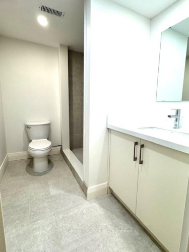 Main/Lower-115 Torrens Avenue, Toronto, ON - Indoor Photo Showing Bathroom