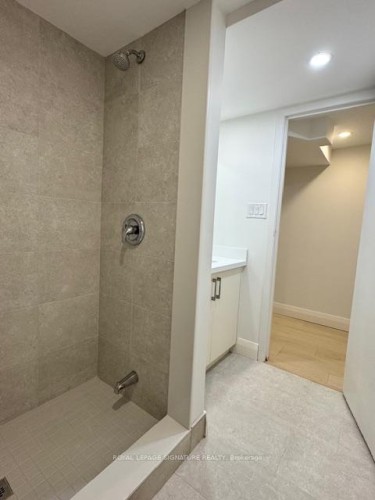 Main/Lower-115 Torrens Avenue, Toronto, ON - Indoor Photo Showing Bathroom