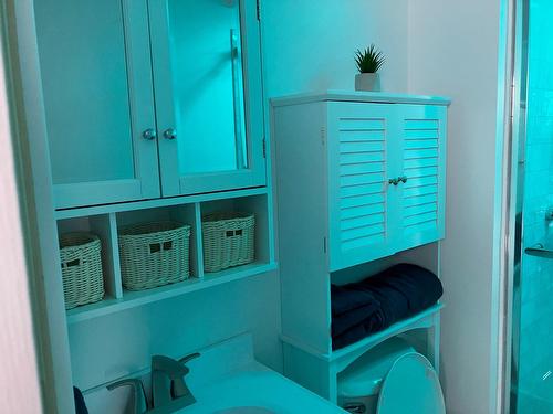 Salle de bains - 2951 Rue Des Hydrangées, Shawinigan, QC - Indoor