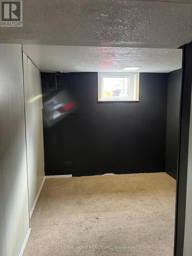 Basement - 192 Silverbirch Drive E, Newmarket, ON - Indoor