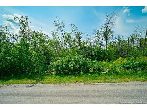 Lot 2,3 & 4 Cnr Rd, Saint-Léonard, NB 