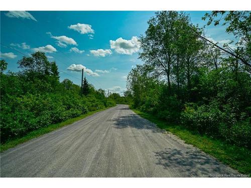 Lot 2,3 & 4 Cnr Rd, Saint-Léonard, NB 