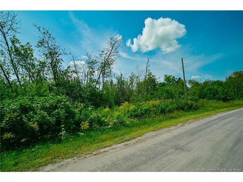 Lot 2,3 & 4 Cnr Rd, Saint-Léonard, NB 