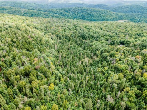 Photo aérienne - Ch. Gillespie, Sainte-Agathe-Des-Monts, QC 