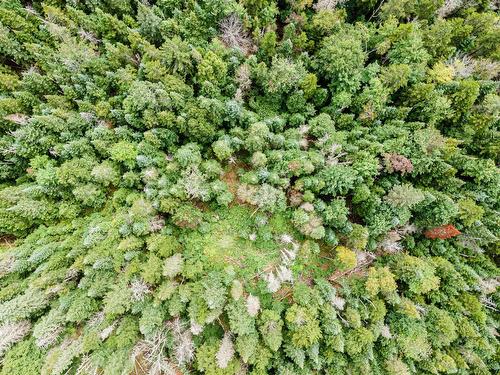 Aerial photo - Ch. Gillespie, Sainte-Agathe-Des-Monts, QC 