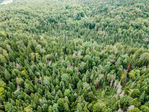 Photo aérienne - Ch. Gillespie, Sainte-Agathe-Des-Monts, QC 