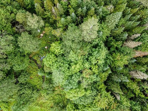 Aerial photo - Ch. Gillespie, Sainte-Agathe-Des-Monts, QC 