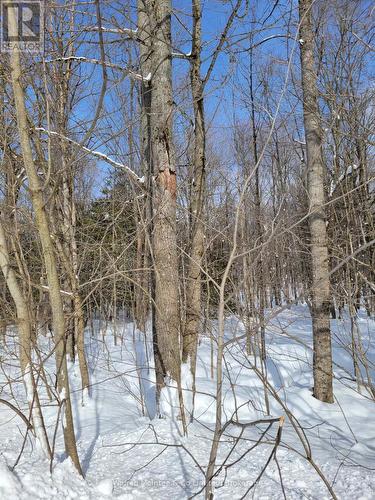 Ptlt 26 Mulock Road, West Grey, ON 